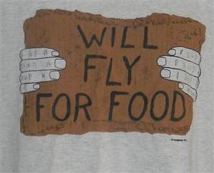 Image result for will fly for food