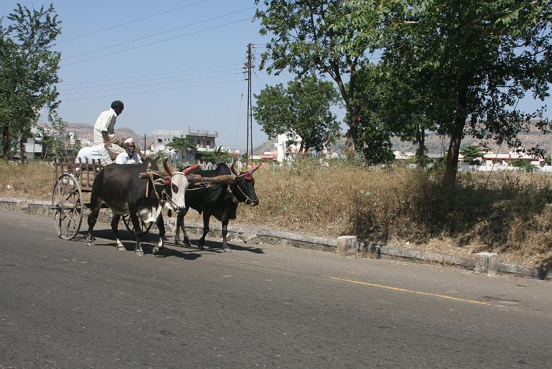 IMG_2149.JPG - Простые жизненные фоты