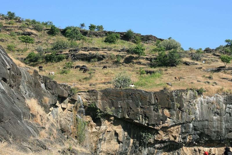 IMG_2329.JPG - Благодать какая