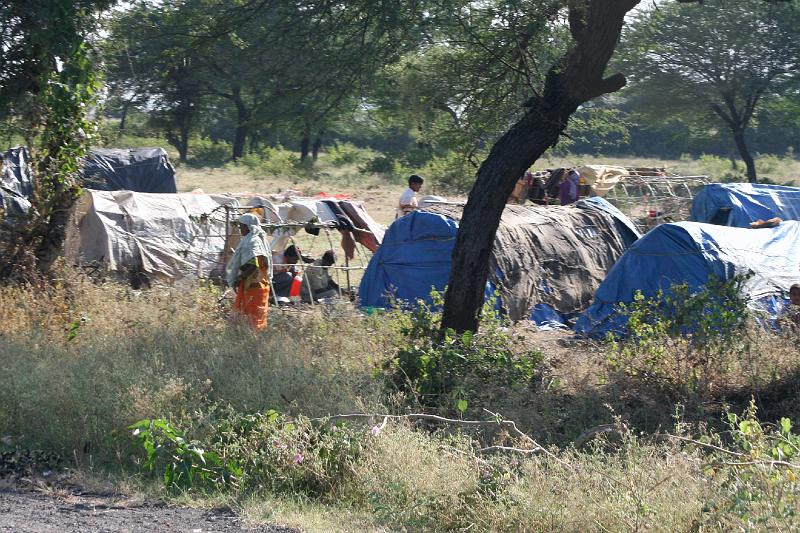 IMG_2370.JPG - Работники полей и огородов