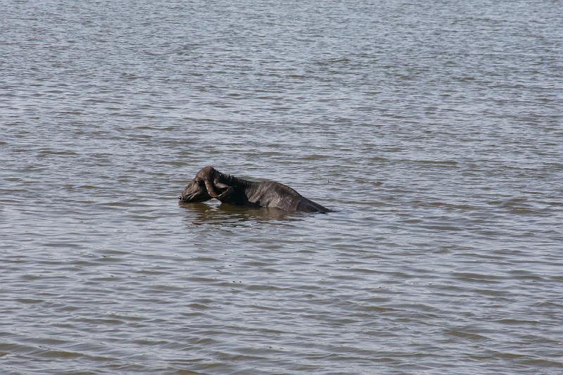 IMG_2371.JPG - Постирушки