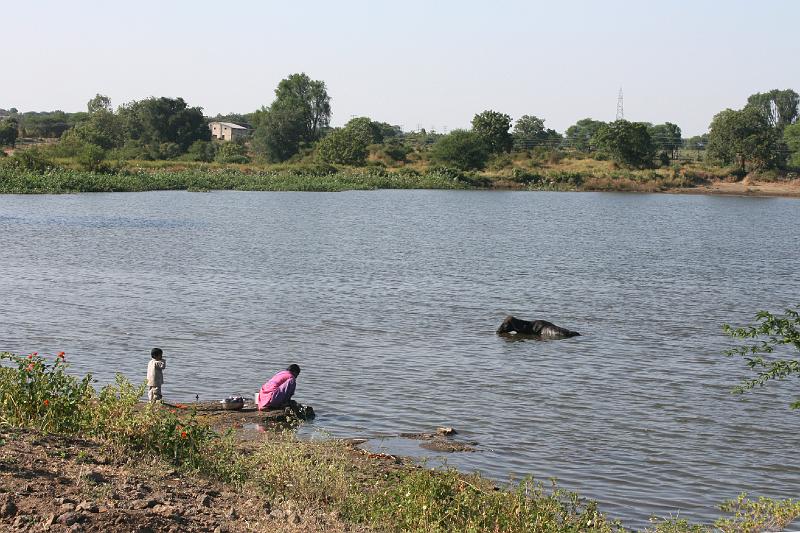 IMG_2372.JPG - Постирушки