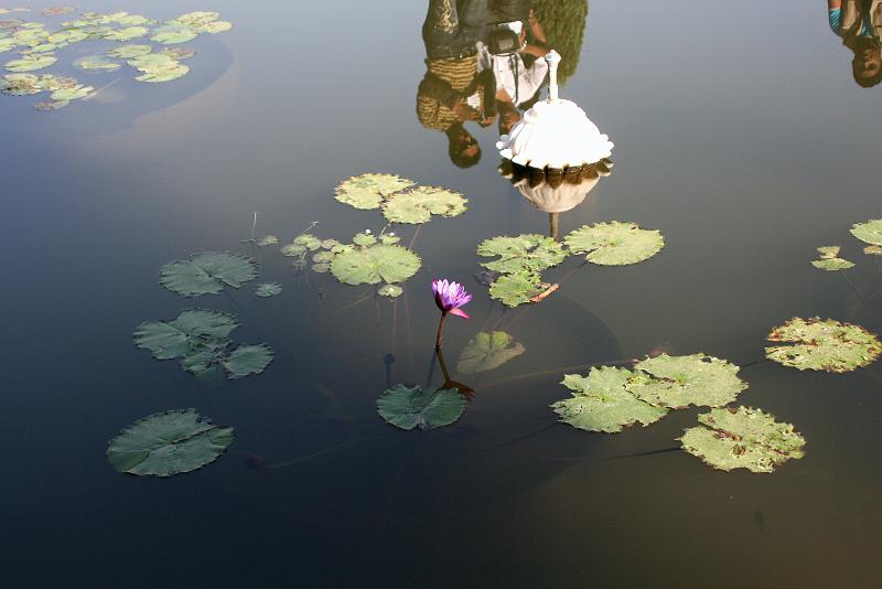 IMG_2420.JPG - Редкие индийские юношы проплывали мимо