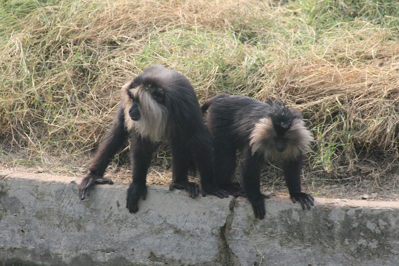 IMG_1188.JPG - Бьзянычи