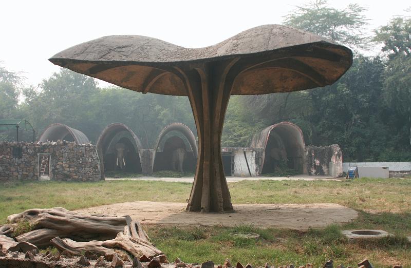 IMG_1232.JPG - Ангары