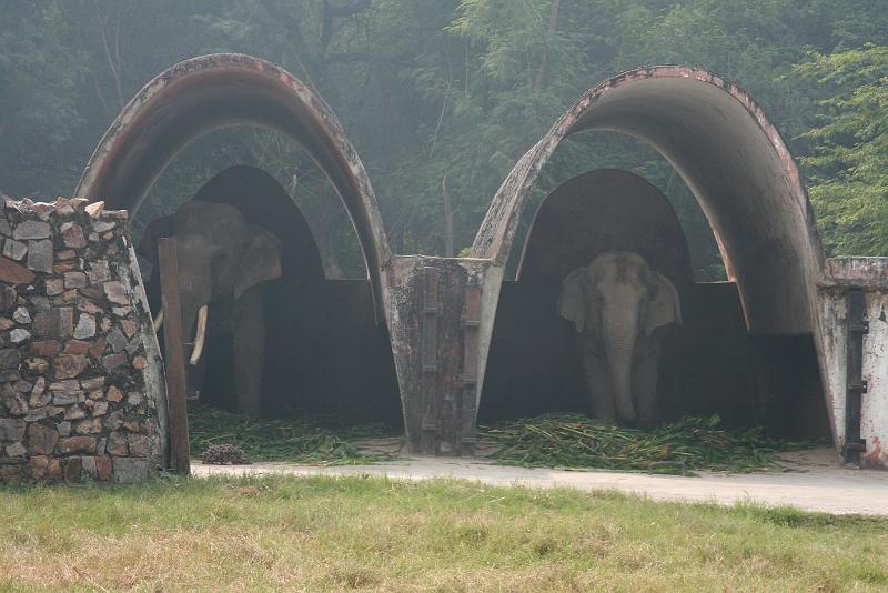 IMG_1233.JPG - У каждого совй личный