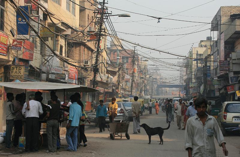 IMG_1273.JPG - Грязные больные люди. Грязные больные собаки. Но так не во всем Дели