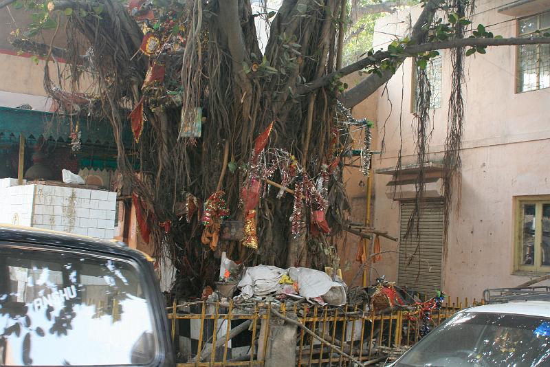 IMG_1291.JPG - Украсили, понимаешь