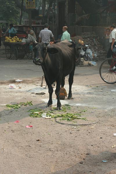 IMG_1292.JPG - А под ногами столько вкусняхи