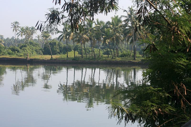 IMG_1036.JPG - И такие сочные запахи вокруг. Кажется воздух можно разрезать ножом