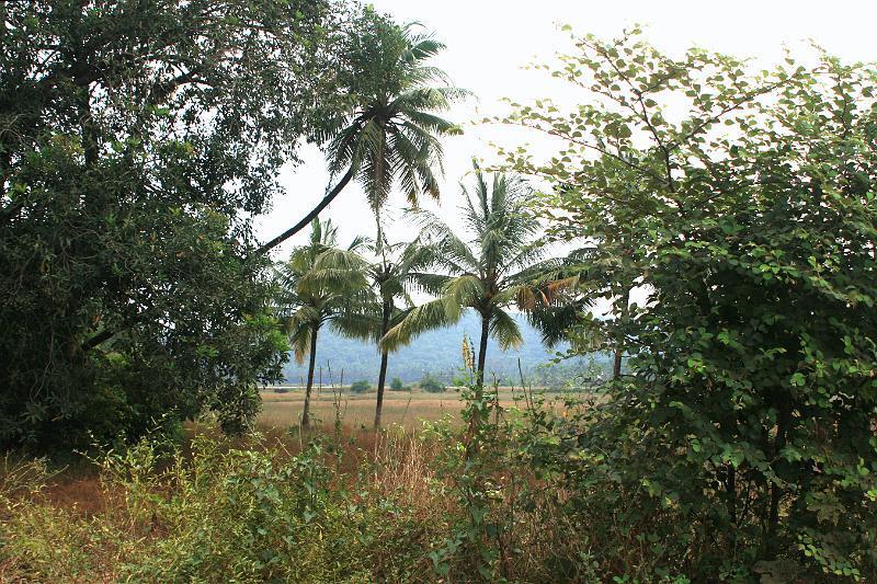 IMG_1320.JPG - Опять простофотка (пишется одним словом)