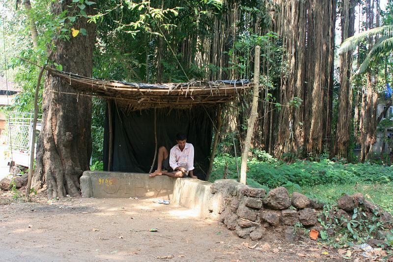 IMG_1351.JPG - Ждет баса и смсит