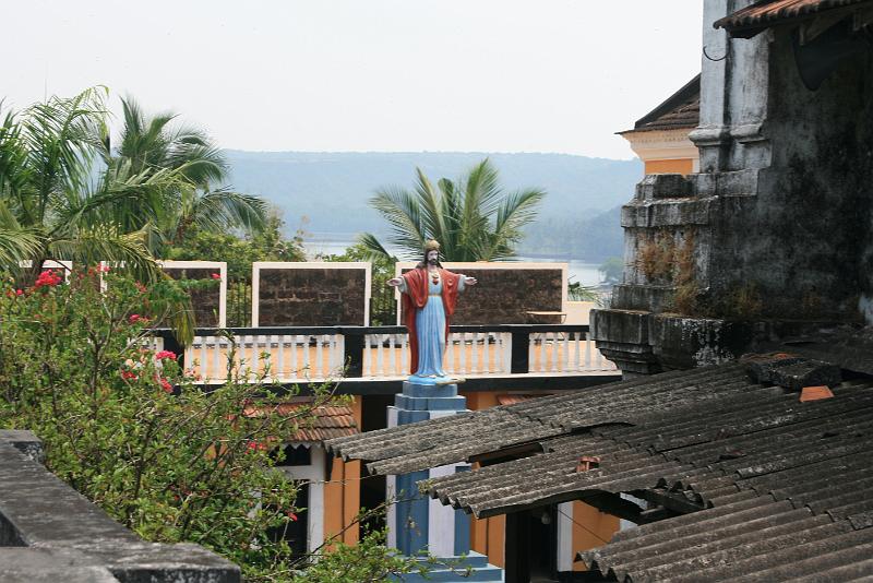 IMG_1419.JPG - Алиллуя в фас