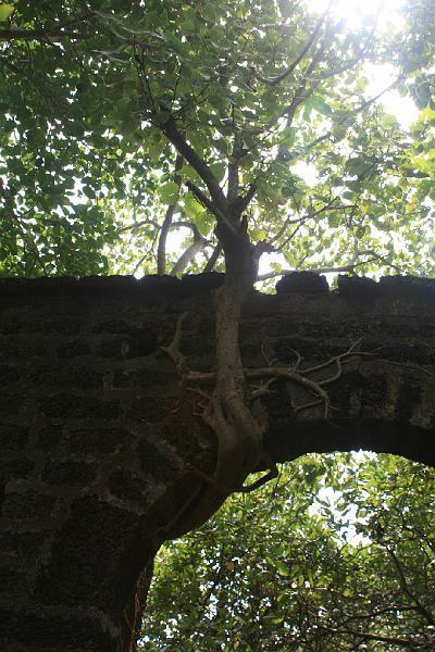 IMG_1444.JPG - Мы подъехали к заброшенному форту Рети