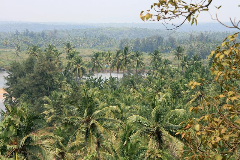 IMG_1460.JPG - Вид с полуразрушивших стен