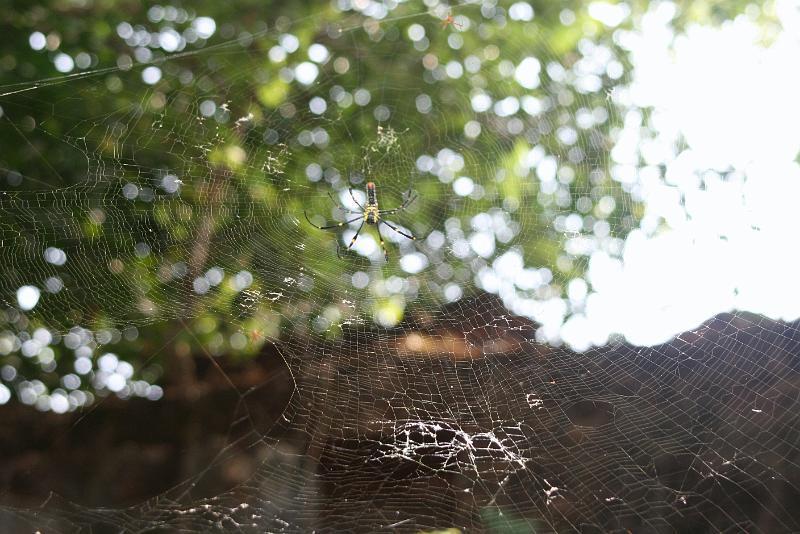 IMG_1481.JPG - Халтурная работенка