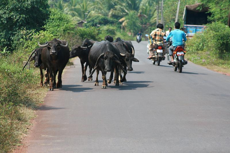 IMG_1489.JPG - Все рано или поздно возвращаются домой