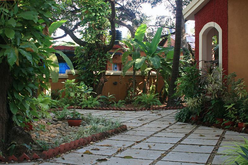 IMG_1517.JPG - В стране где "все так и прет, так и прет", чем меньше растений в саду, тем более он считается ухоженным