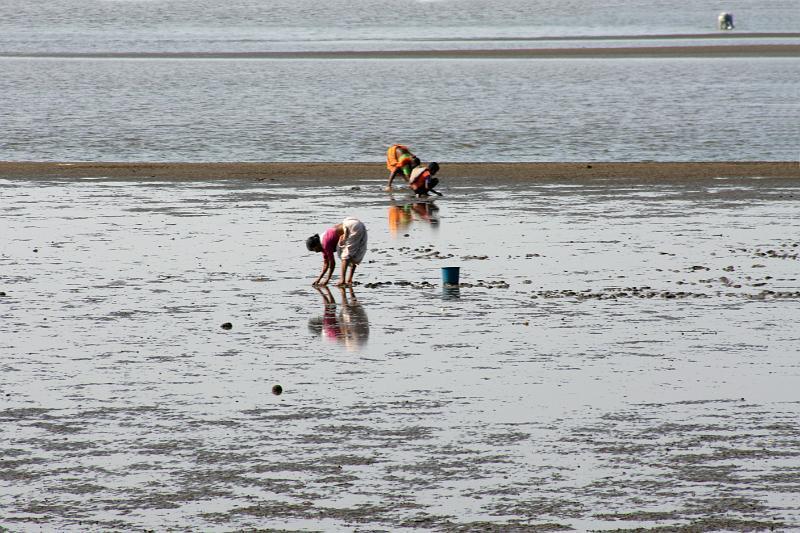 IMG_1550.JPG - Прям почти как наши тетки на дачах, кверху попами