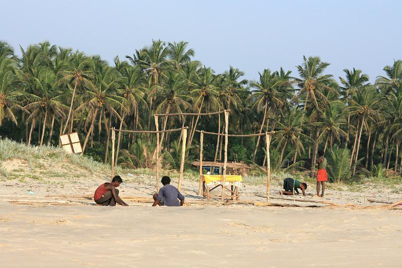 IMG_1602.JPG - Вот так начинают жизнь шейки на пляжах