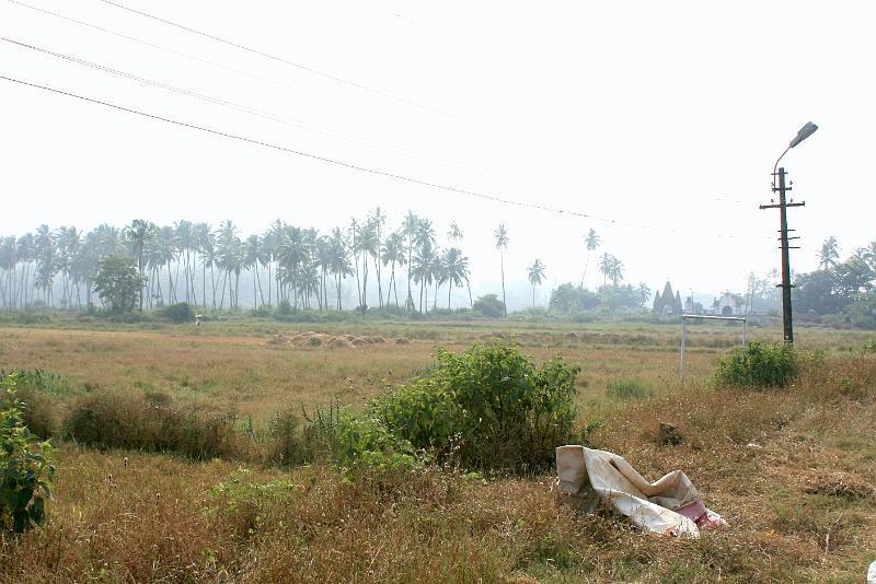 IMG_1626.JPG - Будничний пейзаж