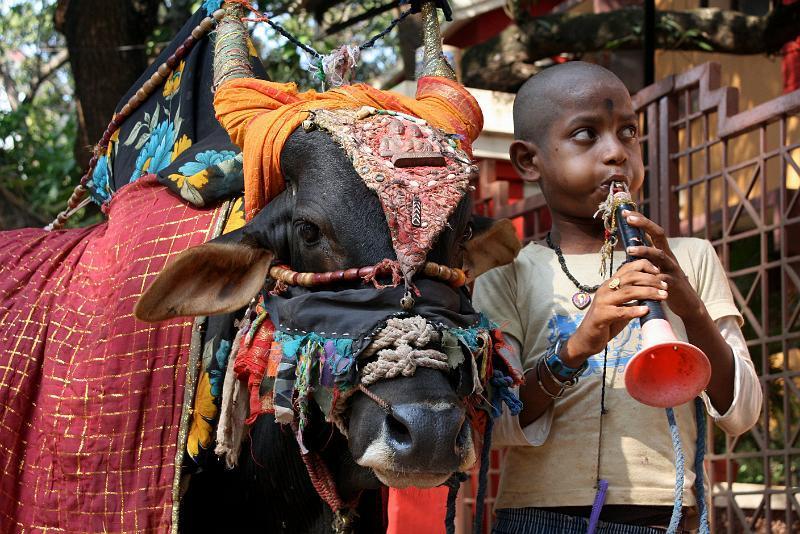 IMG_1642.JPG - Нет, свои 10 рупий он конечно получил