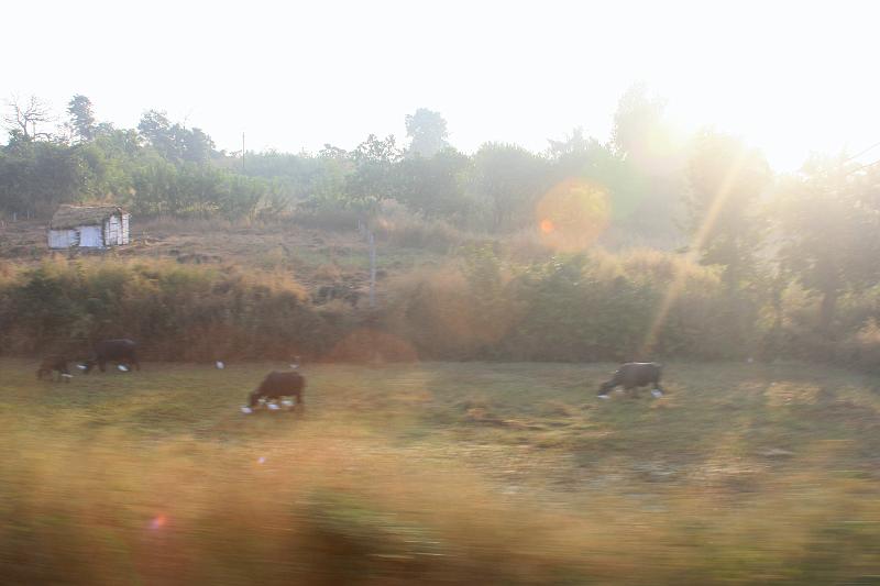 IMG_1657.JPG - Солнце всходит