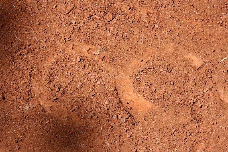 IMG_1764.JPG - На удачу