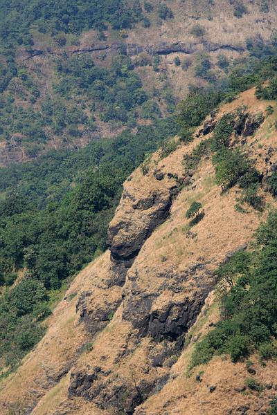 IMG_1793.JPG - Тигра видите? А он есть