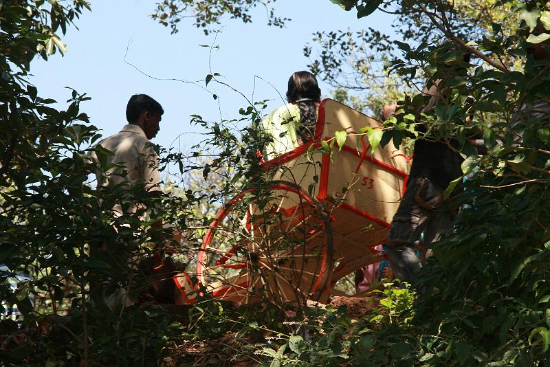 IMG_1813.JPG - Транспорт для самых ленивых и неподъемных