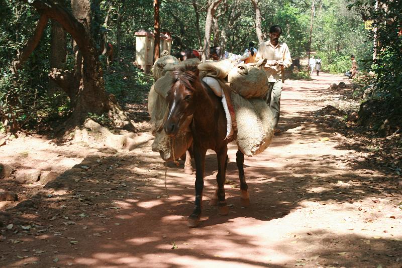 IMG_1852.JPG - Земля красного цвета. Ей окрашена вся наша обувь, шорты. Она почти и не отстиралась в дальнейшем