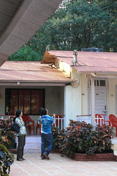 IMG_1870.JPG - Для городских индусов - это почти так же в диковинку как и для нас