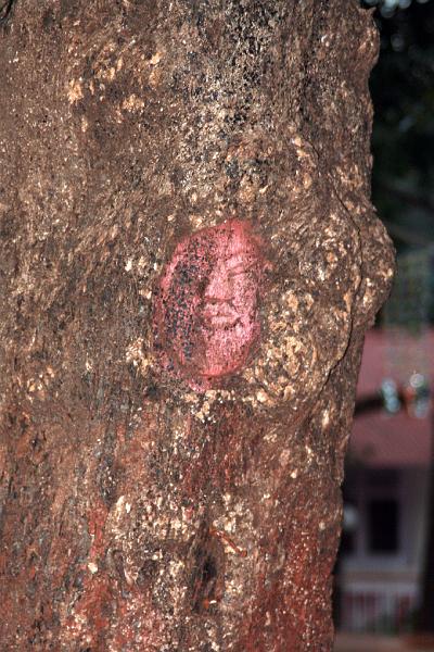 IMG_1883.JPG - Такой любопытный вид декора - прям в стволе дерева вырезаются лица. Видели такое во многих местах страны