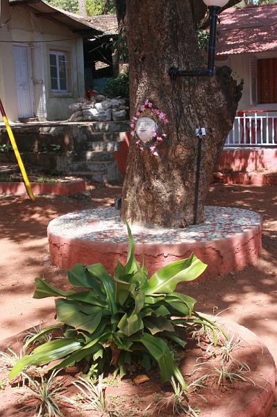 IMG_1892.JPG - Еще один декор во дворе нашего отеля