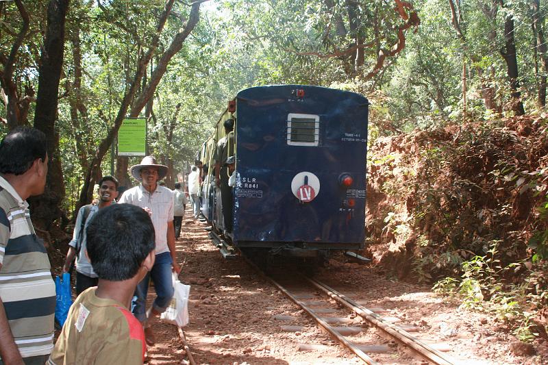 IMG_1895.JPG - Вниз мы спускаемся сами, покупая по дороге гуаву и отдавая огрызки обезьянам